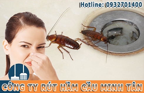 Thợ sửa bồn cầu toilet chống h&ocirc;i tại Huyện Cần Giờ của c&ocirc;ng ty Minh T&acirc;n.