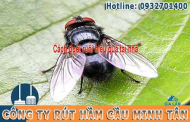 33 cách Đuổi Ruồi Ra Khỏi Nhà Tự Nhiên Đơn Giản Nhất