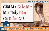 Nằm Mơ Thấy Rắn Là Điềm Báo Gì Lành Hay Dữ ? Phải Làm Sao ?