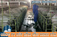 Hút Hầm Phân Heo Biogas Bao Nhiêu Tiền 1 Khối - MTân 0932701400