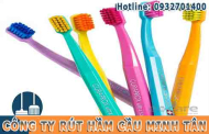 Cách Xử Lý Làm Rơi Bàn Chải Vào Bồn Cầu 100% Thành Công