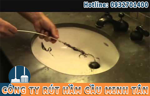 Alo xin ch&agrave;o đ&acirc;y c&oacute; phải l&agrave; ! c&ocirc;ng ty r&uacute;t hầm cầu Minh T&acirc;n chi nh&aacute;nh Quận Ph&uacute; Nhuận chuy&ecirc;n cung cấp dịch vụ th&ocirc;ng bồn rửa mặt ch&eacute;n b&aacute;t rửa mặt Quận Ph&uacute; Nhuận kh&ocirc;ng ạ